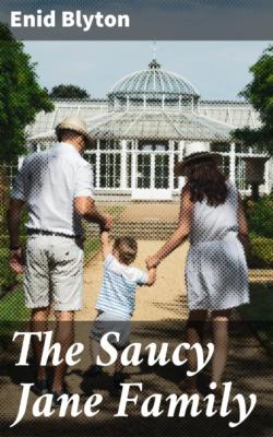 The Saucy Jane Family - Enid blyton 