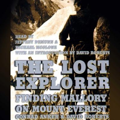 Lost Explorer - David  Roberts 
