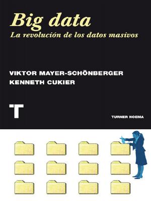 Big data - Viktor  Mayer-Schonberger Noema