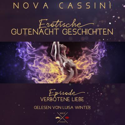 Verbotene Liebe - Erotische Gutenacht Geschichten, Band 5 (ungekürzt) - Nova Cassini 
