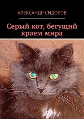 Серый кот, бегущий краем мира - Александр Валентинович Сидоров 