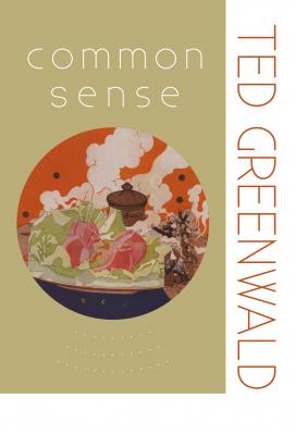 Common Sense - Ted Greenwald Wesleyan Poetry Series
