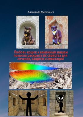 Любовь кошек к каменных нишам помогла раскрыть их свойства для лечения, защиты и левитации - Александр Матанцев 