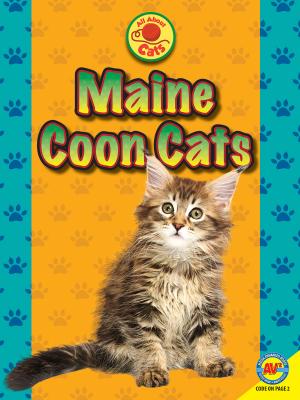 Maine Coon Cats - Nancy  Furstinger 