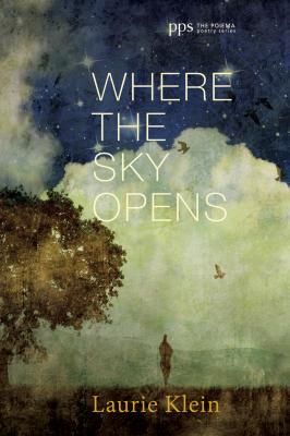 Where the Sky Opens - Laurie Klein Poiema Poetry Series