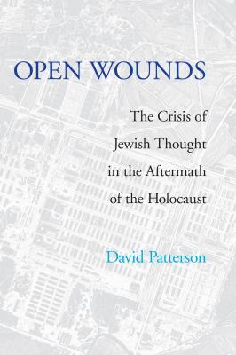 Open Wounds - David Patterson Pastora Goldner Series