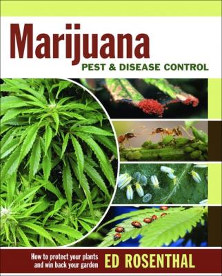 Marijuana Pest and Disease Control - Ed Rosenthal 