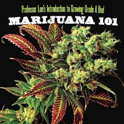 Marijuana 101 - Professor Lee Ultimate Series
