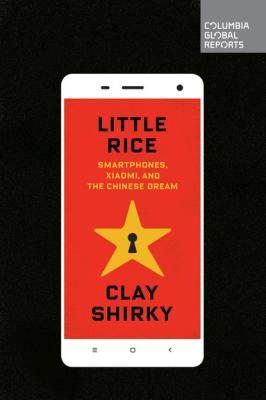 Little Rice - Clay  Shirky 