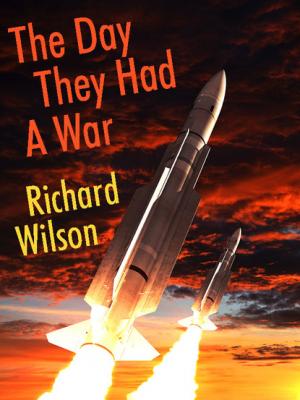 The Day They Had a War - Richard  Wilson 