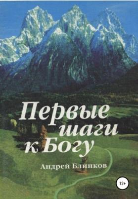 Первые шаги к Богу - Андрей Евгеньевич Блинков 