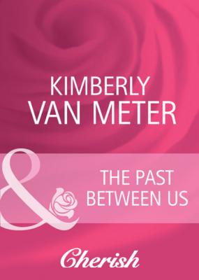 The Past Between Us - Kimberly Van Meter Mills & Boon Cherish