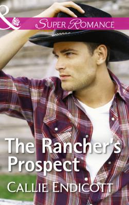 The Rancher's Prospect - Callie Endicott Montana Skies
