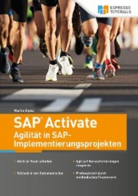SAP Activate - Agilität in SAP S/4HANA-Implementierungsprojekten - Martin Kipka 