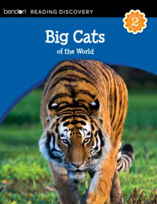 Big Cats of the World - Kathryn Knight Reading Discovery Level Reader