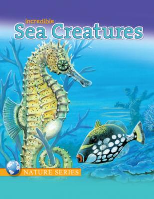 Incredible Sea Creatures - Kathryn Knight Educational Children's Storybooks
