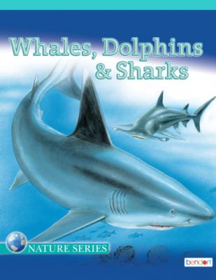 Whales, Dolphins, & Sharks - Kathryn Knight Educational Children's Storybooks