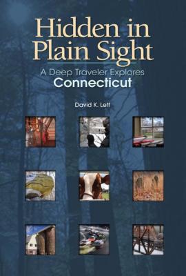 Hidden in Plain Sight - David K. Leff Garnet Books