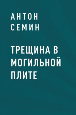 Трещина в могильной плите - Антон Алексеевич Семин 