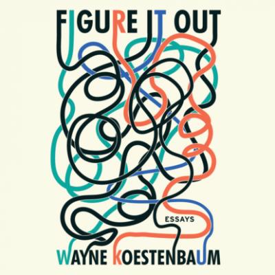 Figure it Out - Essays (Unabridged) - Wayne Koestenbaum 