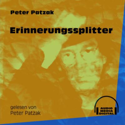 Erinnerungssplitter (Ungekürzt) - Peter Patzak 