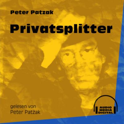Privatsplitter (Ungekürzt) - Peter Patzak 