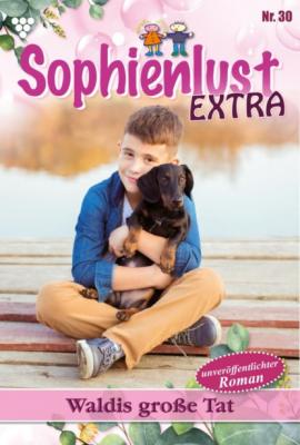 Sophienlust Extra 30 – Familienroman - Gert Rothberg Sophienlust Extra