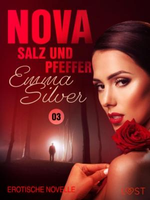 Nova 3 - Salz und Pfeffer: Erotische Novelle - Emma Silver Nova