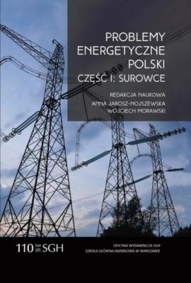 Problemy energetyczne Polski. Część I. Surowce - Группа авторов 