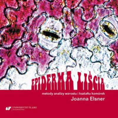Epiderma liścia – metody analizy wzrostu i kształtu komórek - Joanna Elsner 
