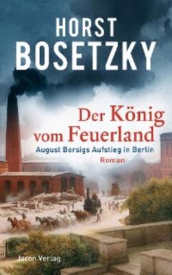 Der König vom Feuerland - Horst Bosetzky 