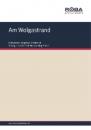 Скачать Am Wolgastrand - Siegfried Bethmann