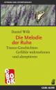 Скачать Die Melodie der Ruhe - Daniel Wilk