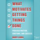 Скачать What Motivates Getting Things Done - Procrastination, Emotions, and Success (Unabridged) - Mary Lamia