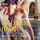 Скачать Caldarium Luxuria – w erotycznej służbie przełożonej - Black Chanterelle