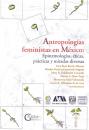 Скачать Antropologías feministas en México - Lina Rosa Berrio Palomo