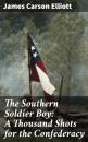 Скачать The Southern Soldier Boy: A Thousand Shots for the Confederacy - James Carson Elliott