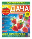 Скачать Дача Pressa.ru 08-2022 - Редакция газеты Дача Pressa.ru
