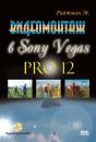 Скачать Видеомонтаж в Sony Vegas Pro 12 - Михаил Райтман