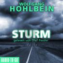 Скачать Sturm (Gekürzt) - Wolfgang Hohlbein