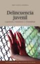 Скачать Delincuencia juvenil - Jorge Valencia-Corominas