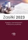 Скачать Zasiłki 2023, Stan prawny maj 2023, wydanie po nowelizacji Kodeksu pracy z kwietnia 2023 r. - Marek Styczeń