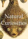 Скачать Natural Curiosities - Alfred Russel  Wallace