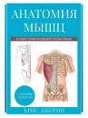 Скачать Анатомия мышц: иллюстрированный справочник - Крис Джерми