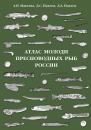 Скачать Атлас молоди пресноводных рыб России - Д. С. Павлов