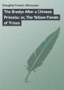 Скачать The Bradys After a Chinese Princess: or, The Yellow Fiends of 'Frisco - Doughty Francis Worcester