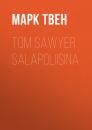 Скачать Tom Sawyer salapoliisina - Марк Твен