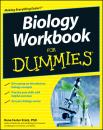 Скачать Biology Workbook For Dummies - Rene Kratz Fester