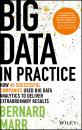 Скачать Big Data in Practice. How 45 Successful Companies Used Big Data Analytics to Deliver Extraordinary Results - Bernard  Marr