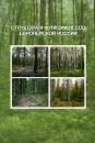 Скачать Структура и функции лесов Европейской России - Коллектив авторов